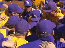 Tigers vs. Tigers