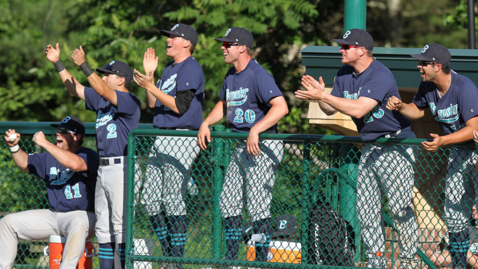 The Brewster dugout makes some noise during a game last season. With a 3-0 start to 2015, the Whitecaps have had even more to cheer about this year.